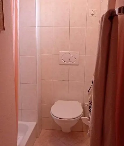 Отель Garni Fluela